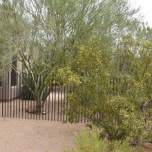Exterior YARD ideas