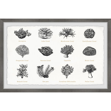 "Coral Collection" Framed Painting Print, 12x8