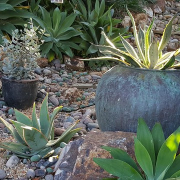John's Garden Sanctuary