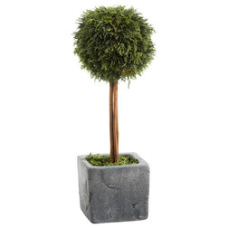 Contemporary Artificial Plants And Trees by Zodax