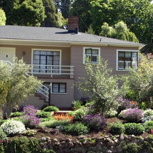 Curb Appeal
