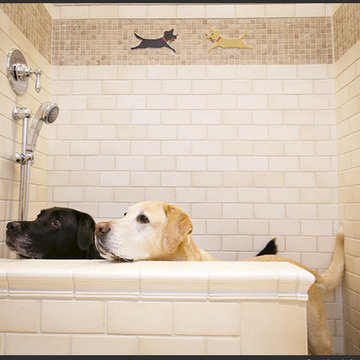 For the Dogs