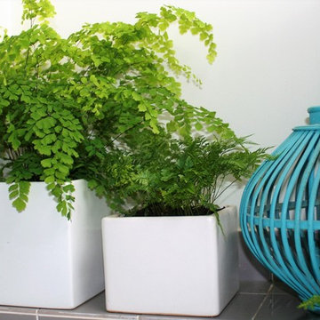 Pots, Containers, Planters and seasonal planting
