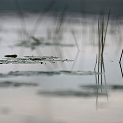 Photography - Photographs