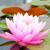 Courtney Murphy's photo