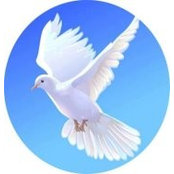 Kamrul Islam's photo