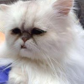 Carolyn Tobin's photo