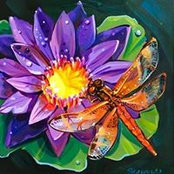 Dee Hollyfield's photo