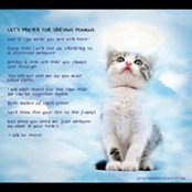 Tracy Lydford's photo