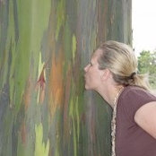 Susan Bellows's photo