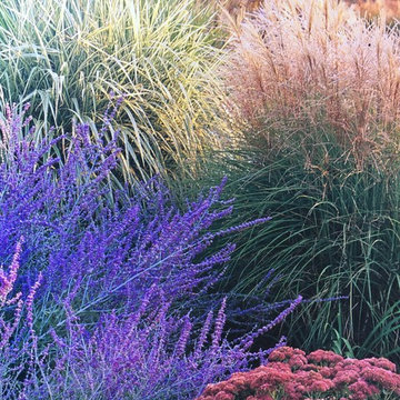 Planting Arrangements