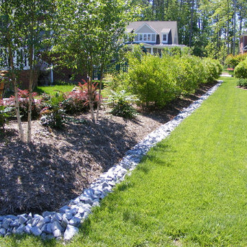 New Home, Backyard from scratch