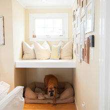 Dog spaces