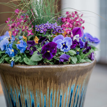 Early Spring Containers