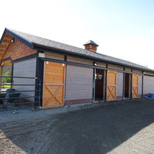 Horse Area