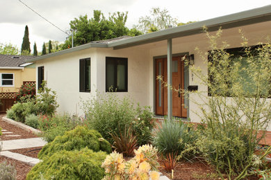 Willow Glen Update
