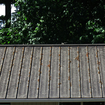 NuRay Series 1000 Musket Brown