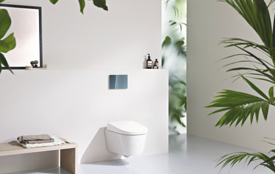 What Should I Know Before Choosing a Concealed Cistern Toilet?