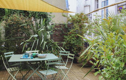 Avant/Après : Renaissance "green" pour toit-terrasse à Vaugirard