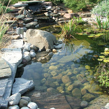 Ponds