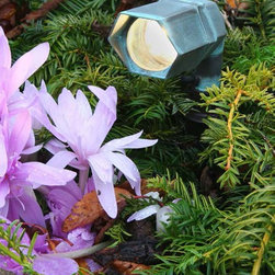 Outdoor Lighting Classic - Landscape Lighting