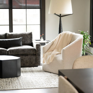 Modern Luxe Living Area