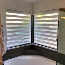 Dual Shades - Roller Shades
