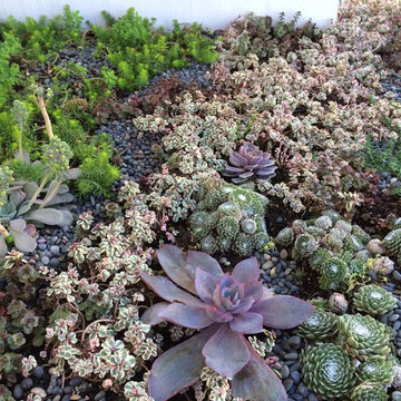 Ocean Front Walk, Marina del Rey
