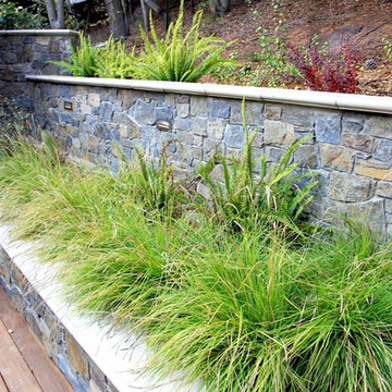 Orinda Landscape