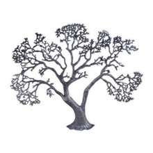 Trees