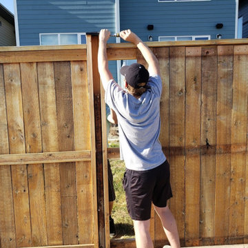Synthetic Artificial Turf Grass Dog Yard Transformations Lethbridge 2020