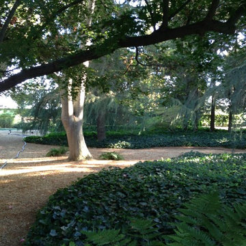 English Garden for a Craftsman Remodel at Home Ranch