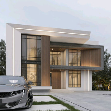 Florida Residential Design-Modern