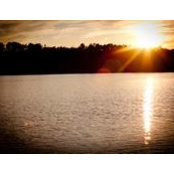 Myra-Tom Potteiger's photo