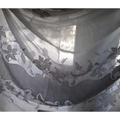 Anne Ritchie's photo