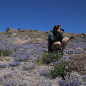 Foto von Mary Grace Harrison