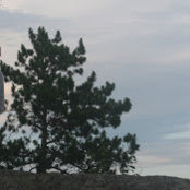 Tiffany Moore's photo