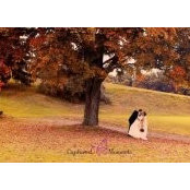 Adrienne Gregory Zeveney's photo