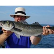 Richard Miles's photo
