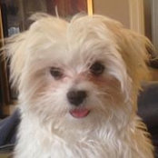 Ruth Charyk's photo