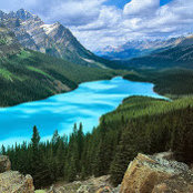 Cecile Meunier's photo