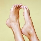 Kathy Regan's photo