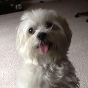 Lynn Bonner's photo