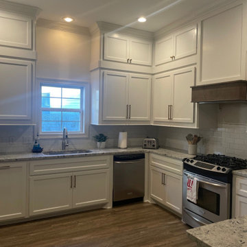 Kitchen & Primary Bathroom Renovation @ Annandale