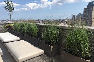 Native Grasses overlooking Lower Manhattan in Dumbo