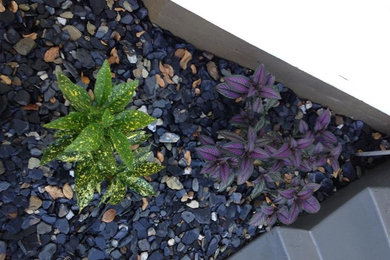 Photo of a landscaping in Sacramento.