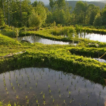 Research Farm - Land