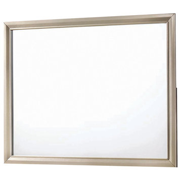 Coaster Furniture Beaumont Mirror With Frame, Champagne