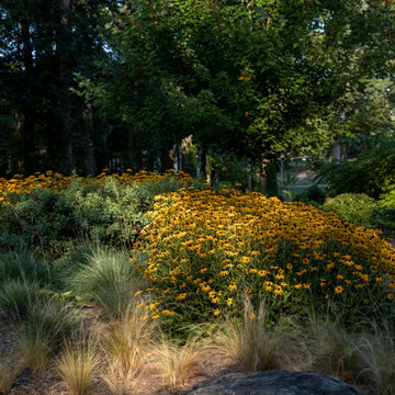 Azaroff Garden