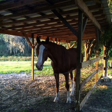 Run in shed for the horses